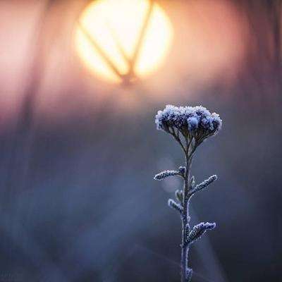 巢湖房产网截图